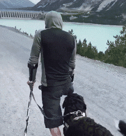 Daily Gifs Images